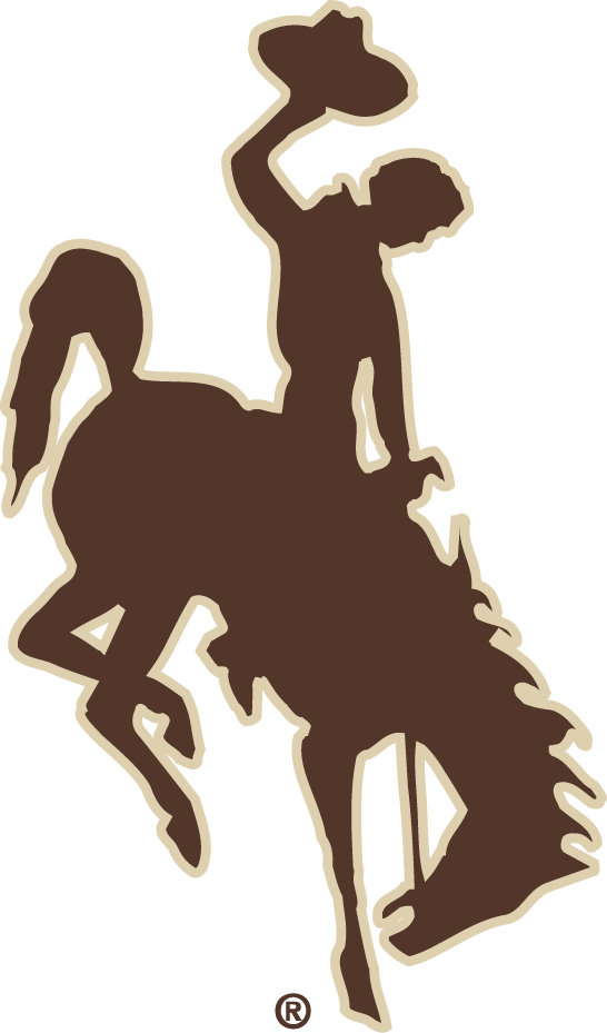 Wyoming Cowboys 2006-2012 Alternate Logo iron on transfers for fabric...